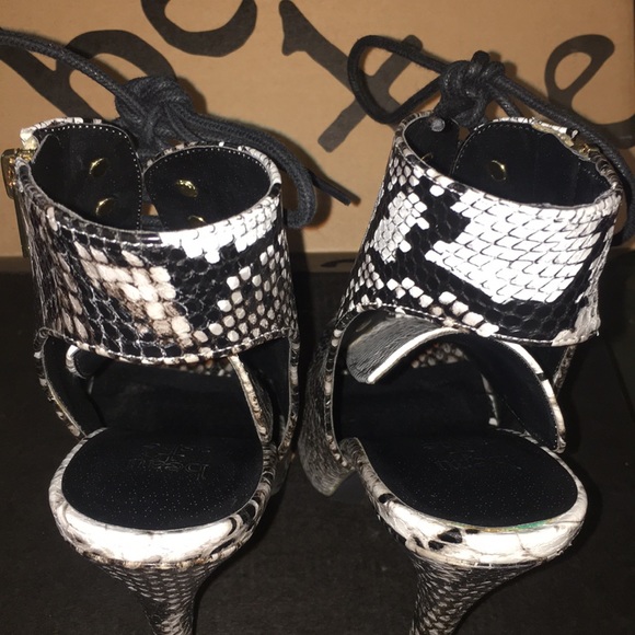 Beau + Ashe - Picture 4 of 11